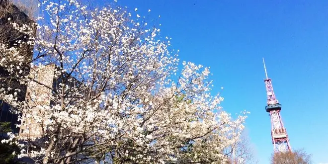 大通公園から、資料館巡り。