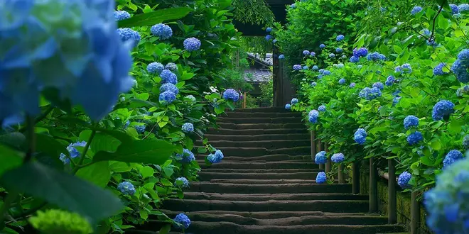 鎌倉、北鎌倉の魅力満載❤