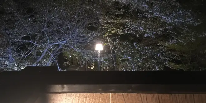 リブマックスリゾート箱根芦ノ湖