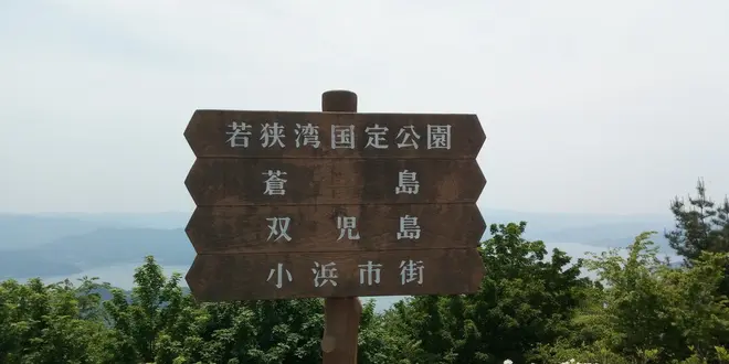ぷちドライブ日記