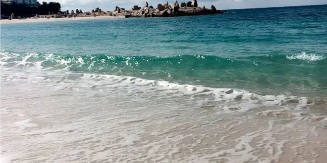 和歌山:自然を満喫！日帰り旅行