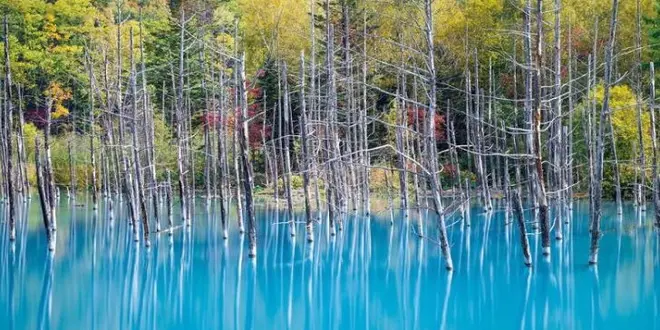 あふれるインスタ欲が止められない！！！北海道の魅惑スポット