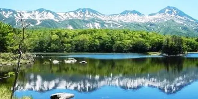 観て食べて体験も！体験型北海道ツアー