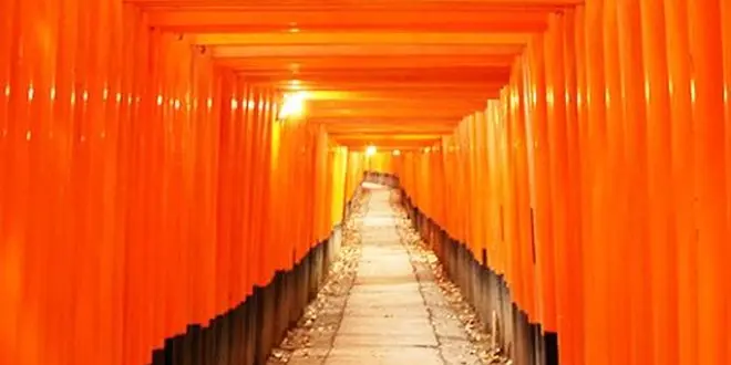 ミーハー京都巡り🍁