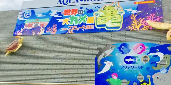 海沿いドライブ