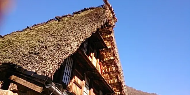 一泊白川郷から下呂温泉♨︎から郡上八幡までの旅🥰