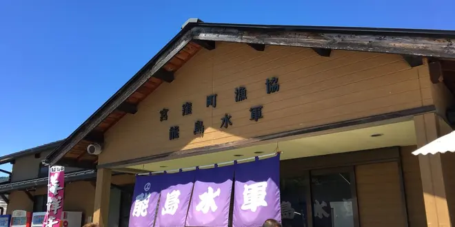 能島水軍潮流体験船