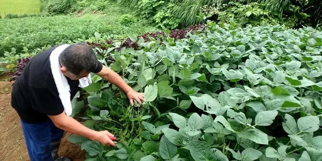 新潟の農家民宿♡まるで実家がふえたような心落ち着く時間を過ごすほっと旅