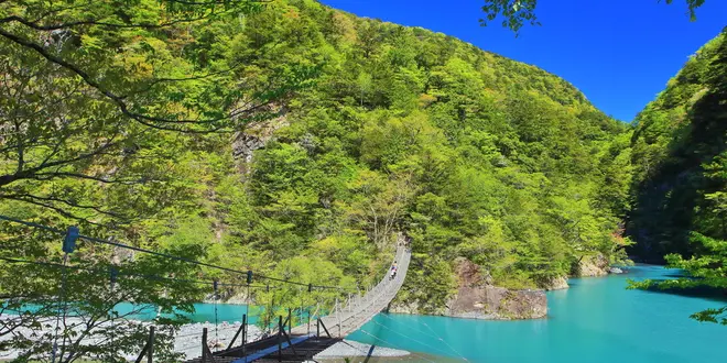 秋の静岡満喫旅🍁
