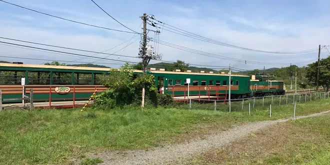 【北海道】夏の釧路の自然とグルメを楽しむ🍴