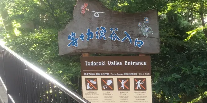 ぶらり等々力渓谷の旅