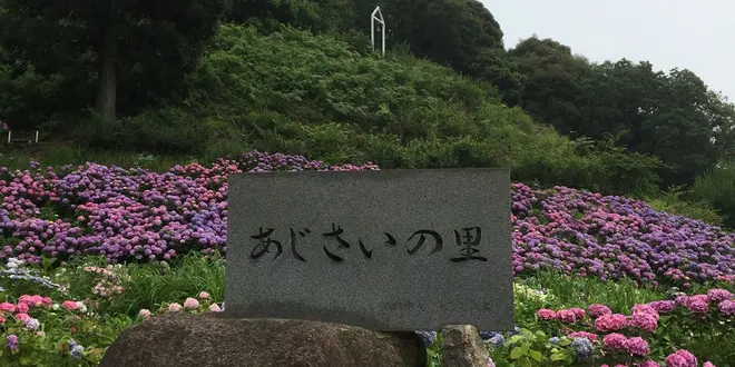 三河デート