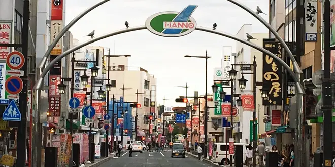 歩け！彼岸花日帰り散策