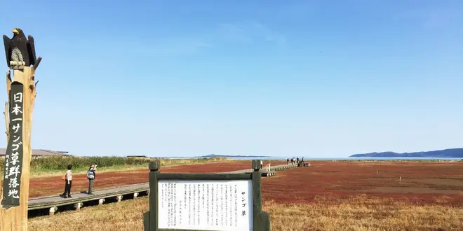 北海道観光！3泊4日の旅♡3日目&4日目(最終日)編