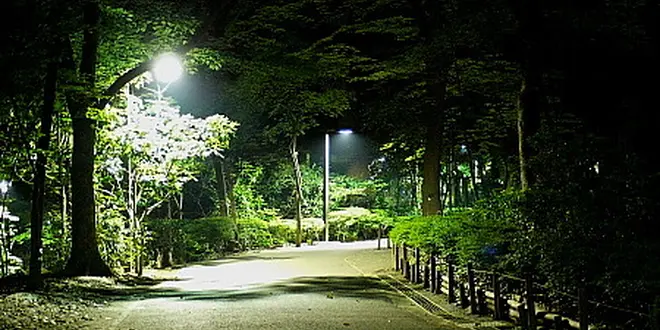 代々木公園