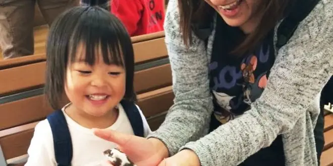 子ども大喜び♪阿蘇周辺の動物と触れ合えるスポットまとめ