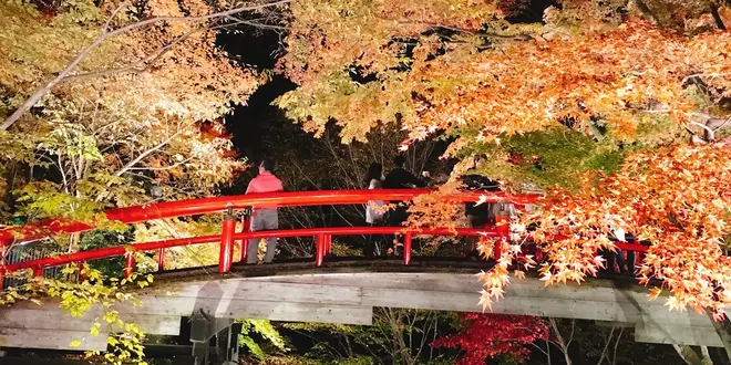 紅葉に癒される温泉の旅🍁♨️