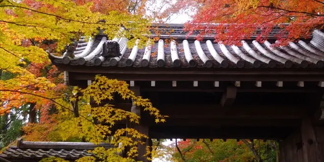 秋の京都を大満喫しよう[京都1泊2日♡]