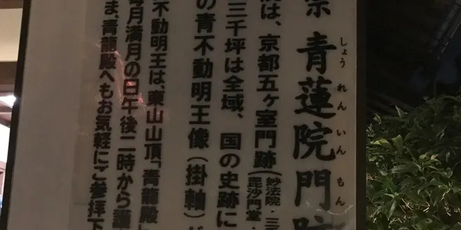 青蓮院門跡 ライトアップ