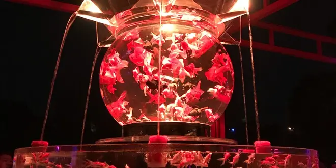 冬の京都デートプラン