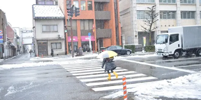 富山金沢よくばりセット