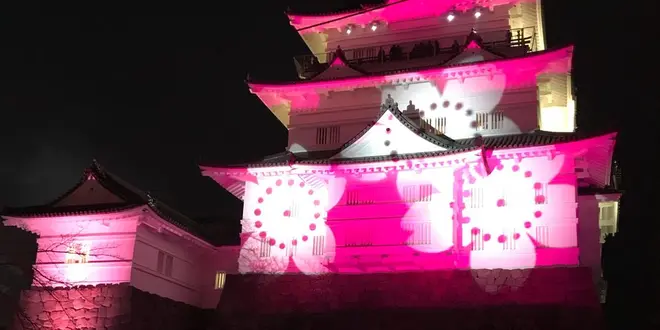 [小田原]冬桜🌸イルミネーションとフレンチ🇫🇷回転寿司🍣