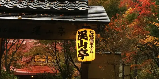 楽しめるモフモフ！オススメのたぬき(動画あり)がいる信州の旅