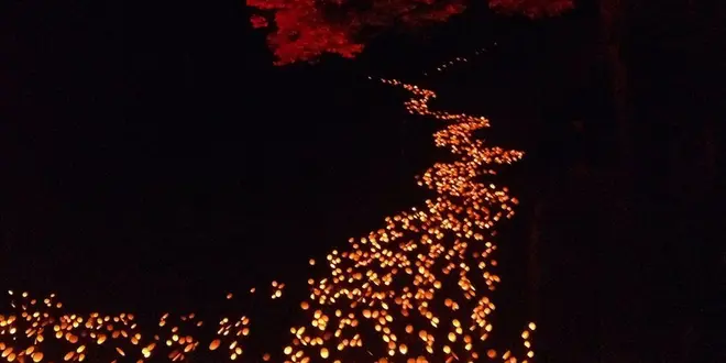 大分県竹田市 城下町・大自然・温泉の贅沢コース