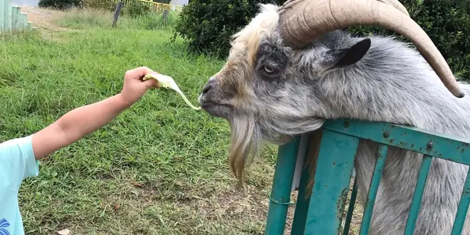 奥伊勢で家族デート