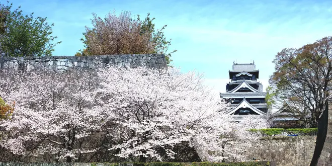 【熊本旅行】