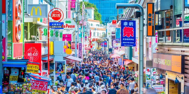【表参道・青山・原宿】初めて観光にぴったりの定番スポットおすすめ10選🐕