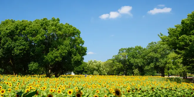 万博公園→梅田