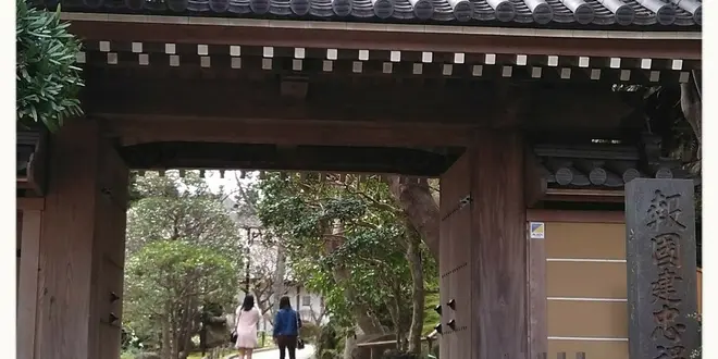 おひとり様の鎌倉梅三昧