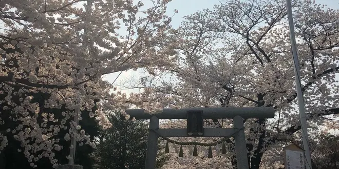 埼玉県狭山市水富から稲荷山公園