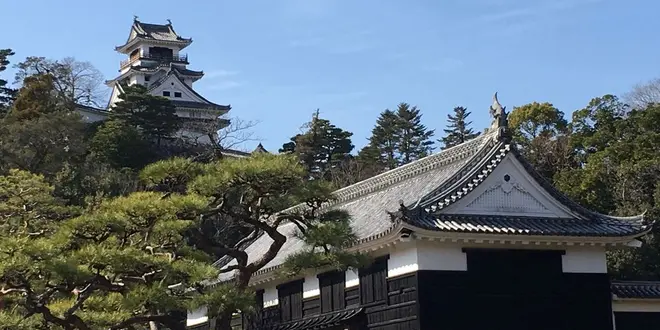 石ちゃんのぶらり旅🚘-日曜市をぶらり散策-