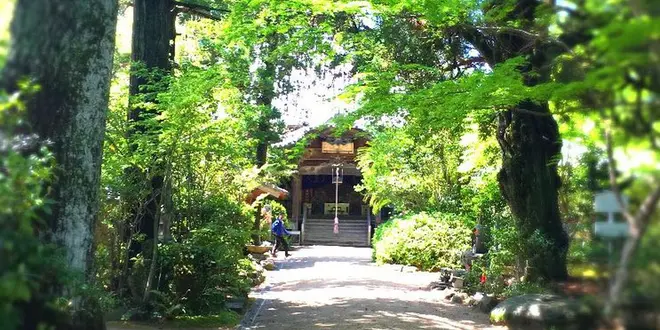 お遍路参り〜松山編〜