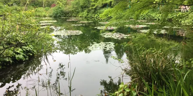 安芸市の旅