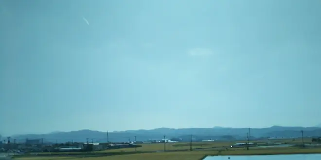 中間市の麦畑をご覧あれ