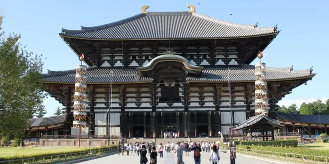 東大寺お水取りと奈良三名椿を巡る旅。