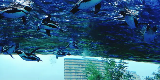 【雨の日デートプラン】池袋サンシャインシティを１日遊びつくす
