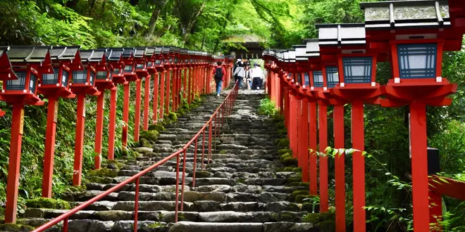 紫陽花と青もみじ in 京都
