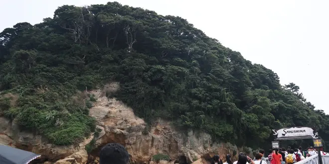 猿島旅！いざ無人島へ！！