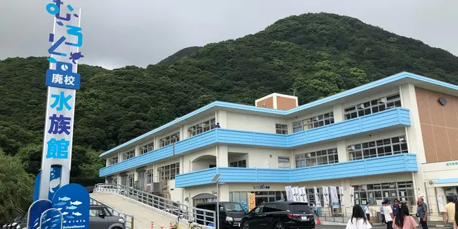 高知市民が作るオススメ県内観光