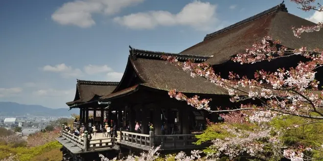 日本大好き卒業旅行