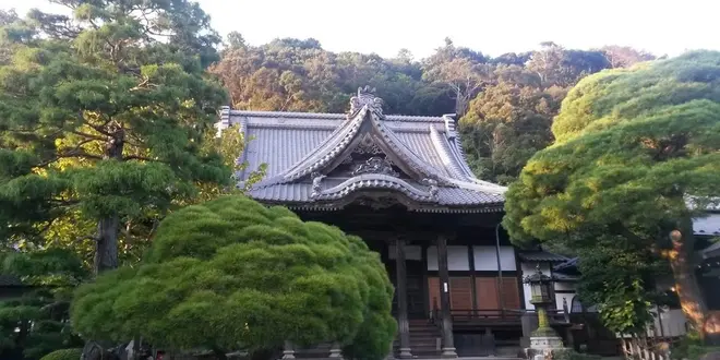 伊豆旅行❤️