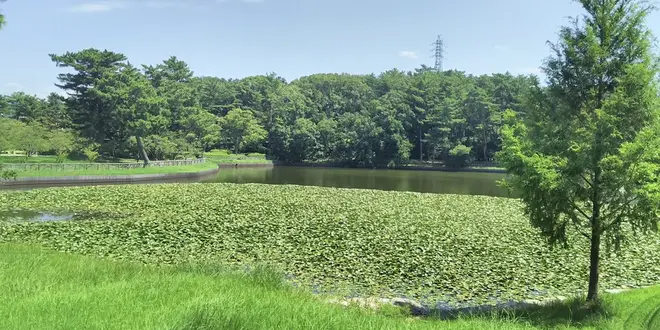 東京オンエア聖地巡礼
