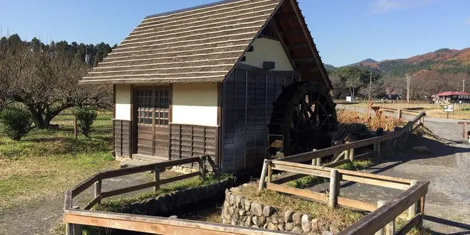 三峯神社と彼岸花をめぐりに埼玉へ日帰りひとり旅