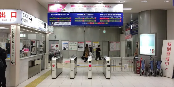 鹿児島スポット