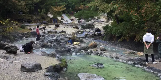 わんこと草津