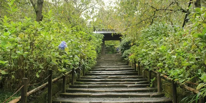鎌倉旅